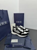 Dior B25